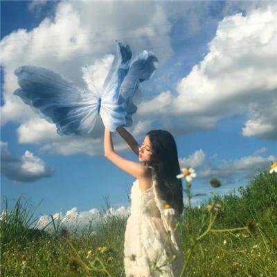 双花镜
